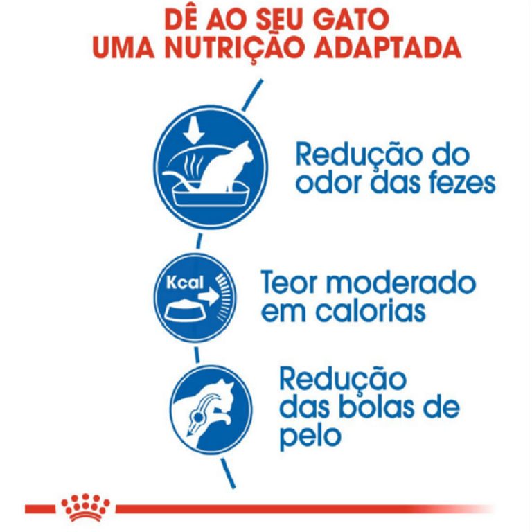 Ração Royal Canin Indoor Gatos Adultos 7.5kg