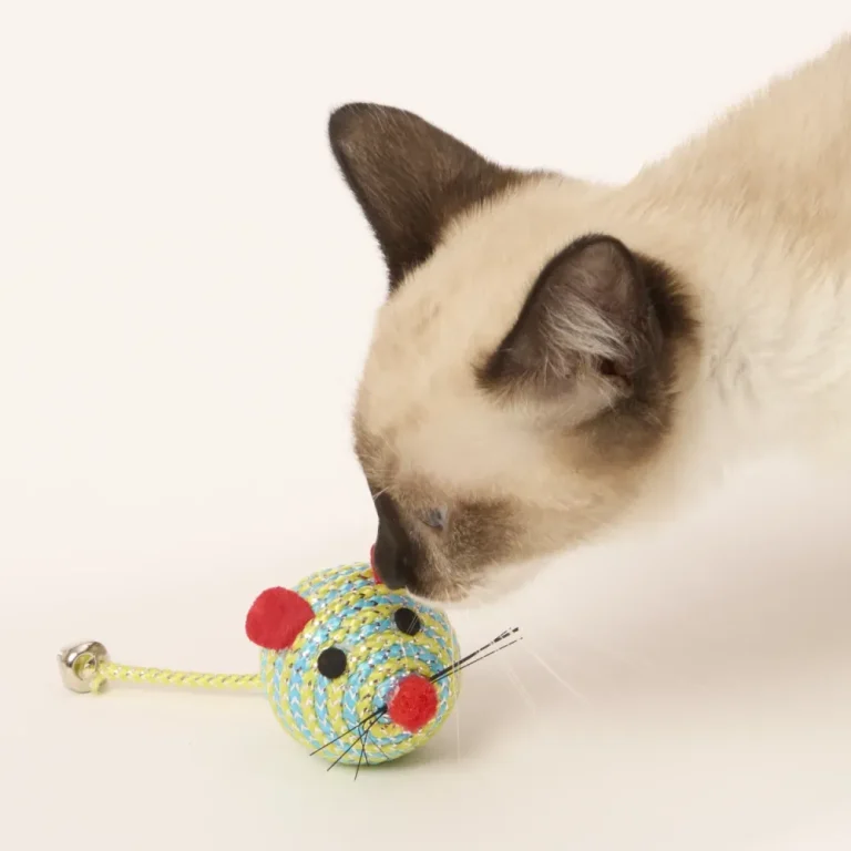 Ratinho de Pelúcia Verde Savana para Gatos